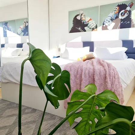 Appartement Beautiful Sea View, Free Parking, Centre Of *