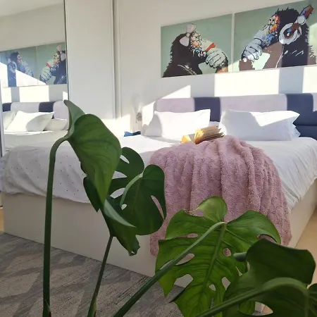 Beautiful Sea View, Free Parking, Centre Of